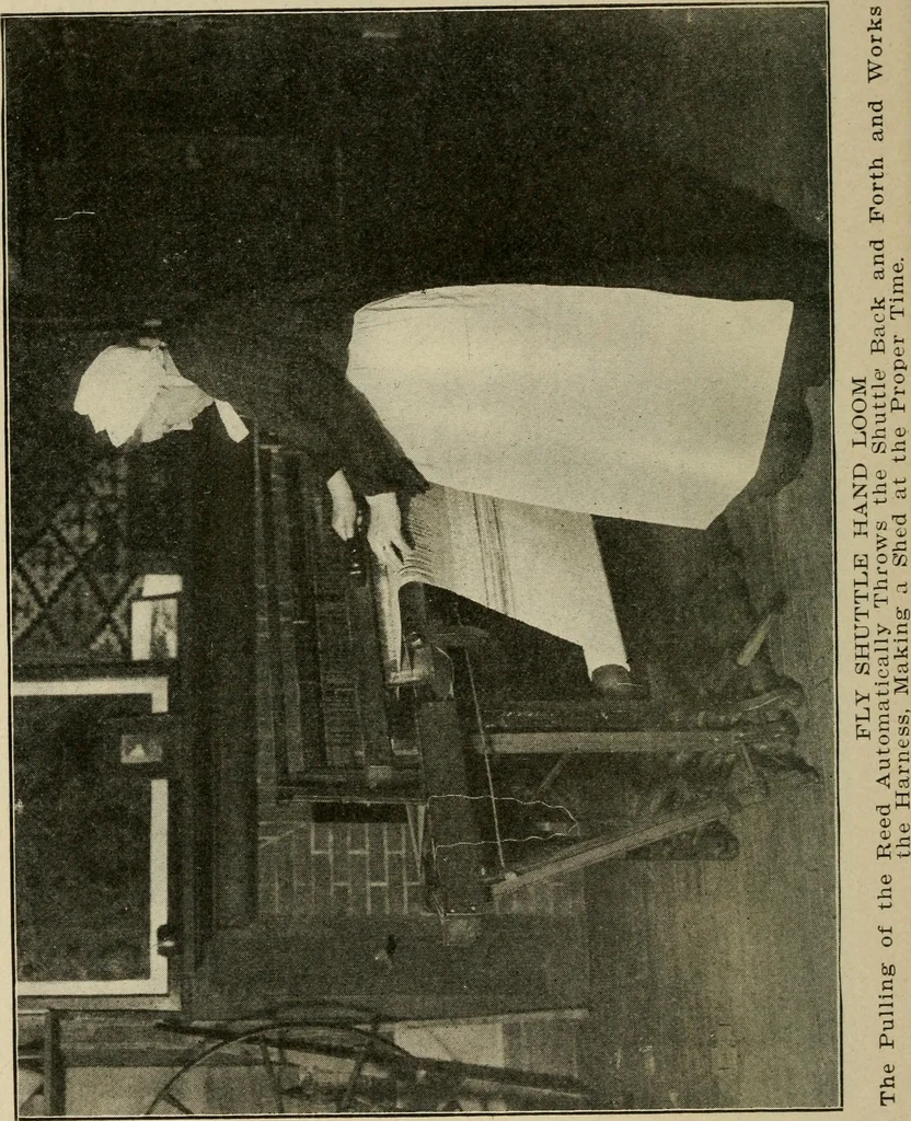 An illustration from Textiles and clothing, 1907, leaf 31