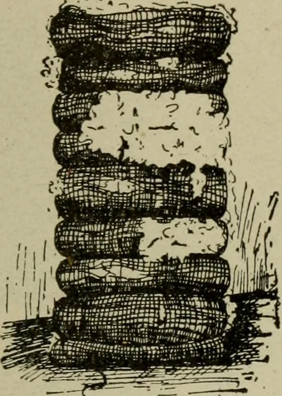 An illustration from Textiles and clothing, 1907, leaf 40