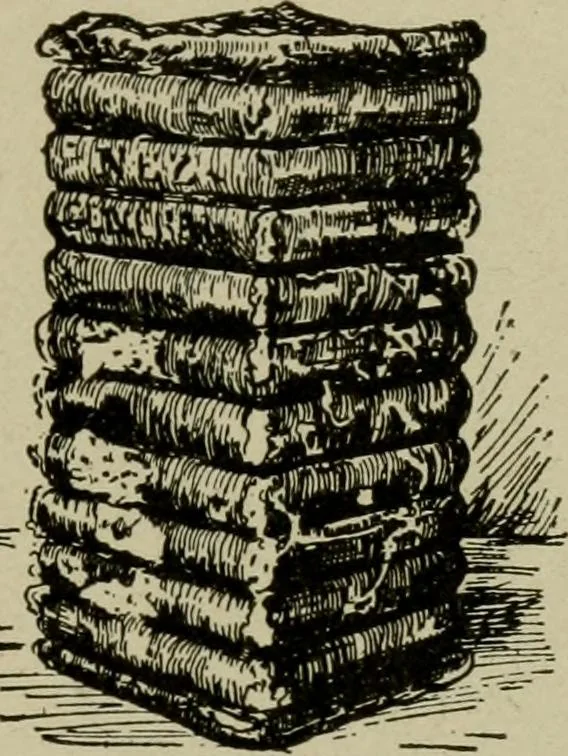 An illustration from Textiles and clothing, 1907, leaf 40