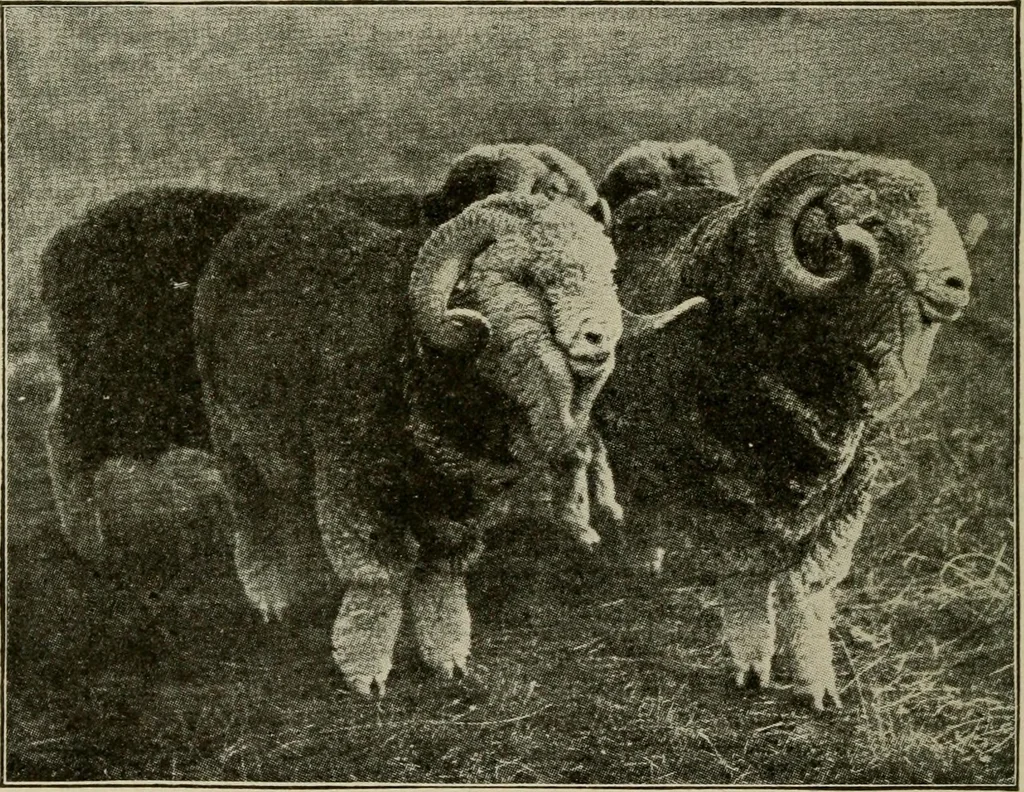An illustration from Textiles and clothing, 1907, leaf 43