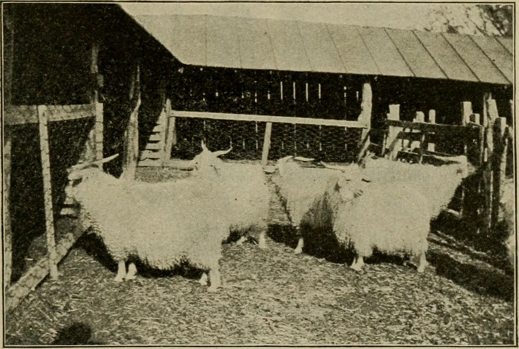 An illustration from Textiles and clothing, 1907, leaf 44