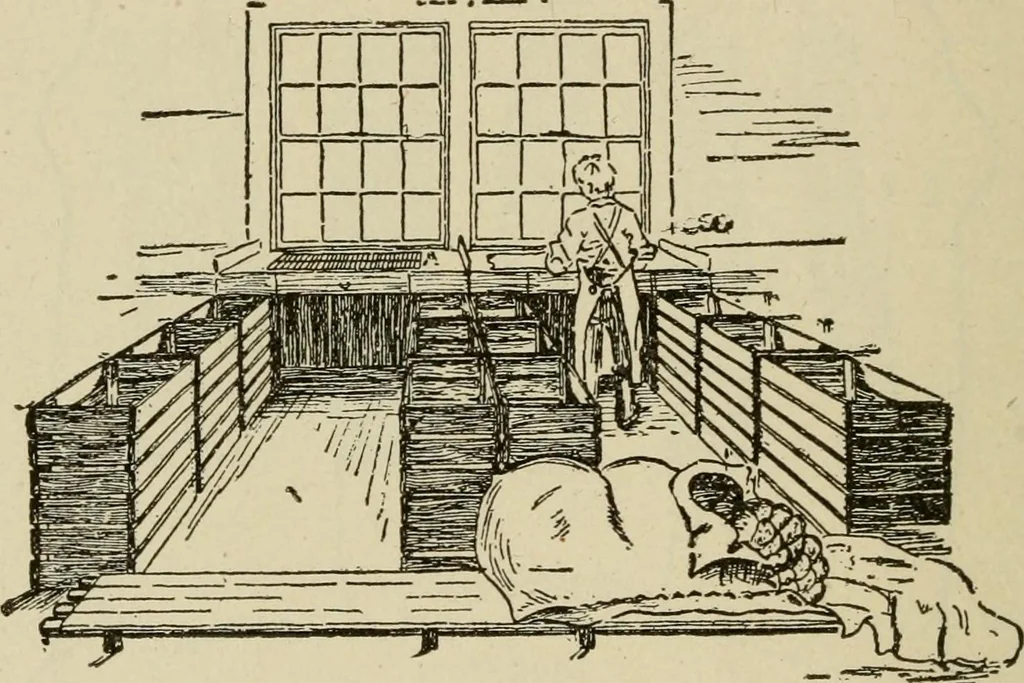 An illustration from Textiles and clothing, 1907, leaf 47