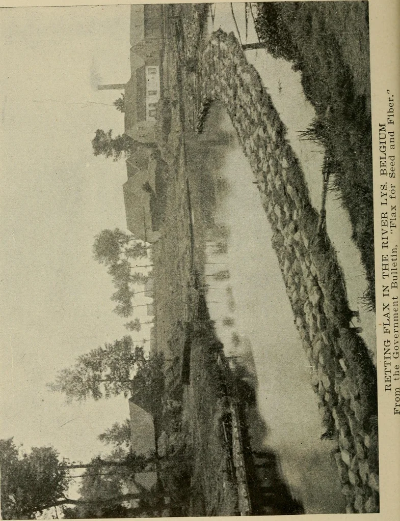 An illustration from Textiles and clothing, 1907, leaf 51