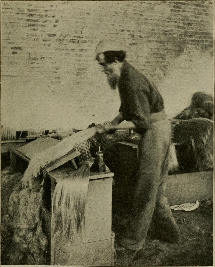 An illustration from Textiles and clothing, 1907, leaf 54