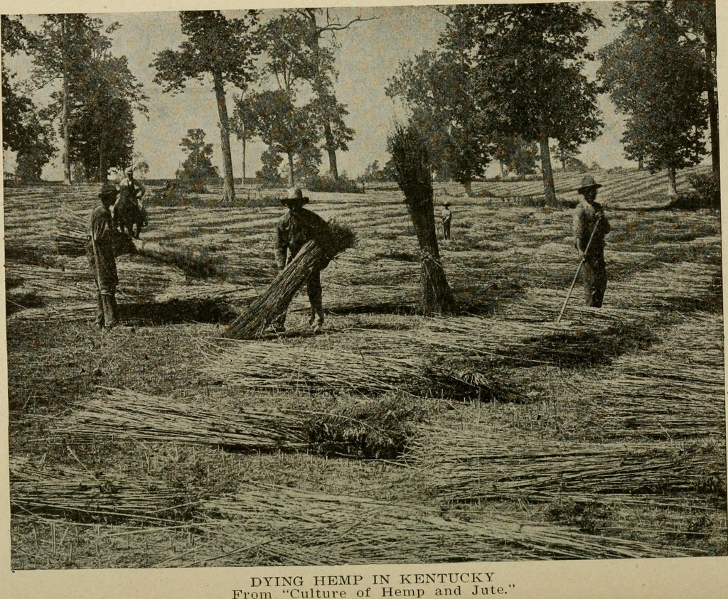 An illustration from Textiles and clothing, 1907, leaf 57