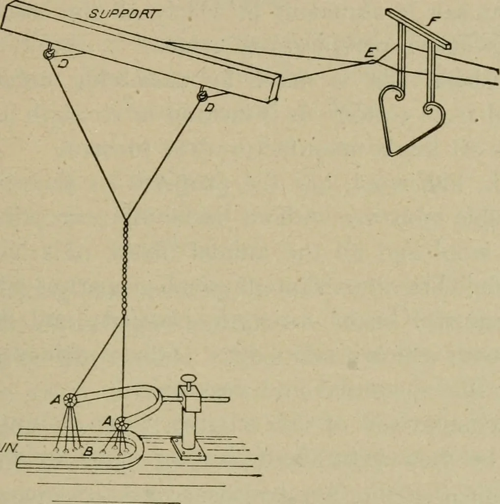 An illustration from Textiles and clothing, 1907, leaf 62