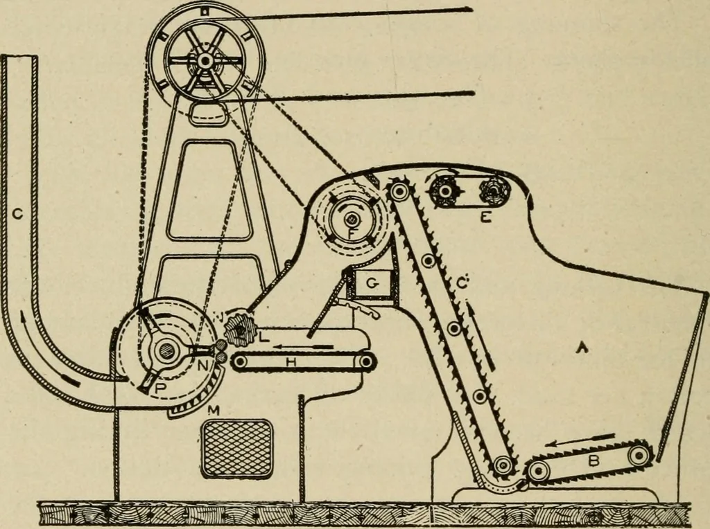 An illustration from Textiles and clothing, 1907, leaf 65