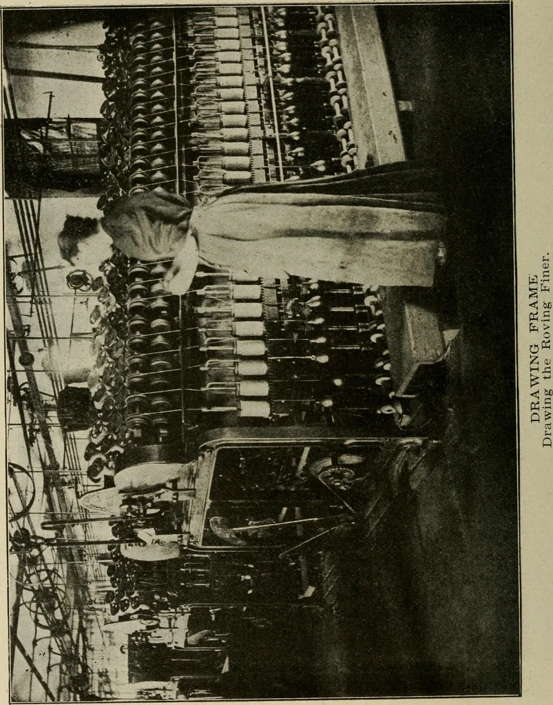 An illustration from Textiles and clothing, 1907, leaf 69