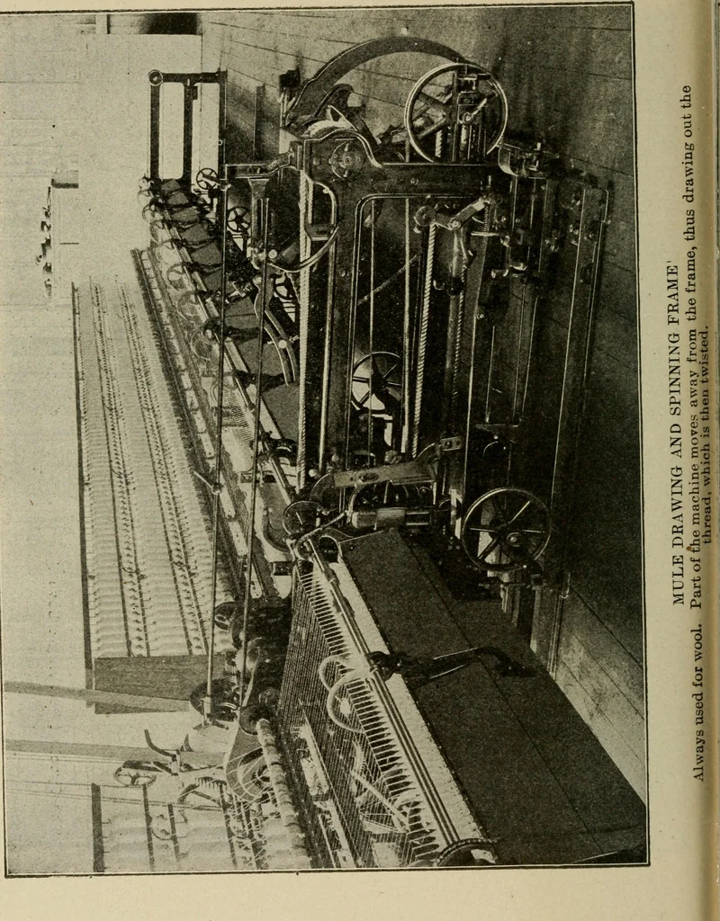 An illustration from Textiles and clothing, 1907, leaf 71