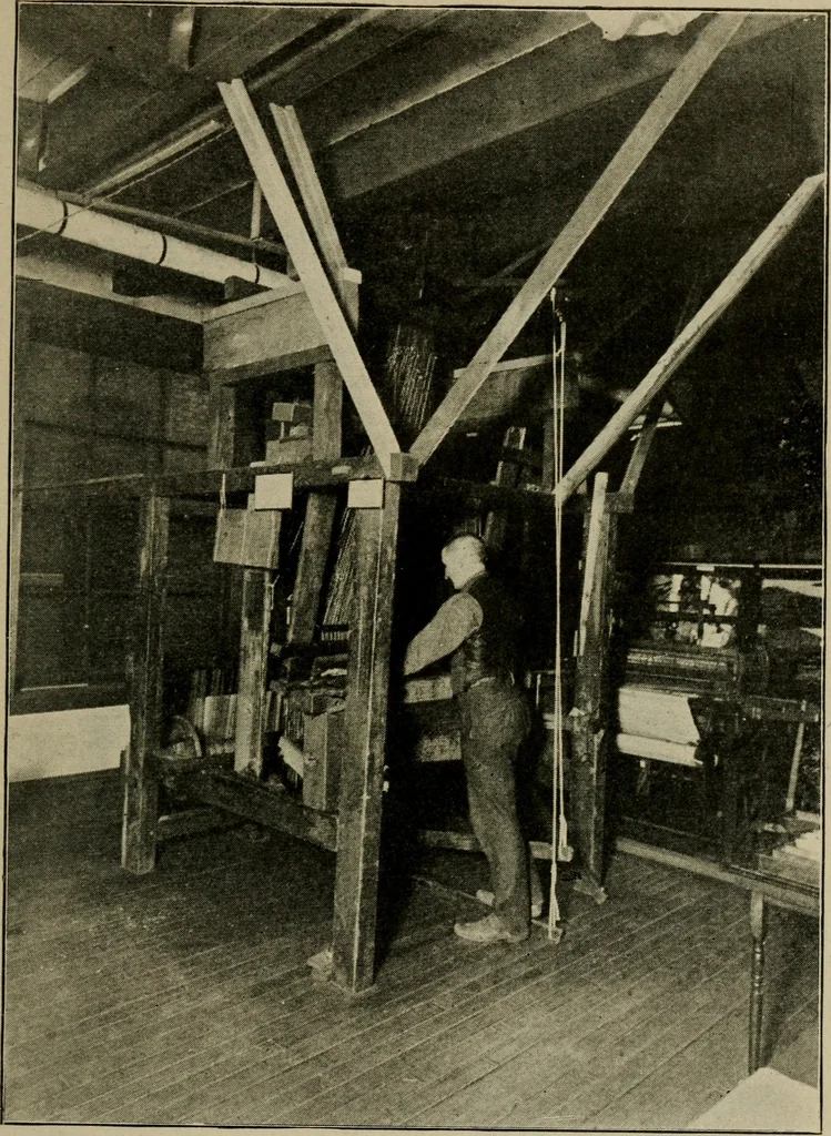 An illustration from Textiles and clothing, 1907, leaf 76