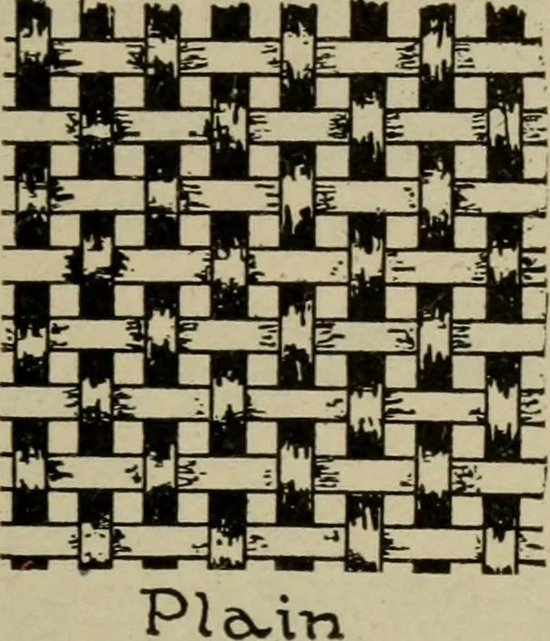 An illustration from Textiles and clothing, 1907, leaf 78