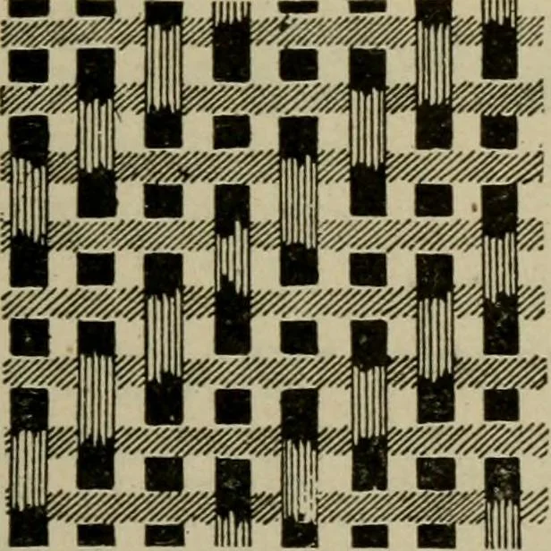 An illustration from Textiles and clothing, 1907, leaf 78