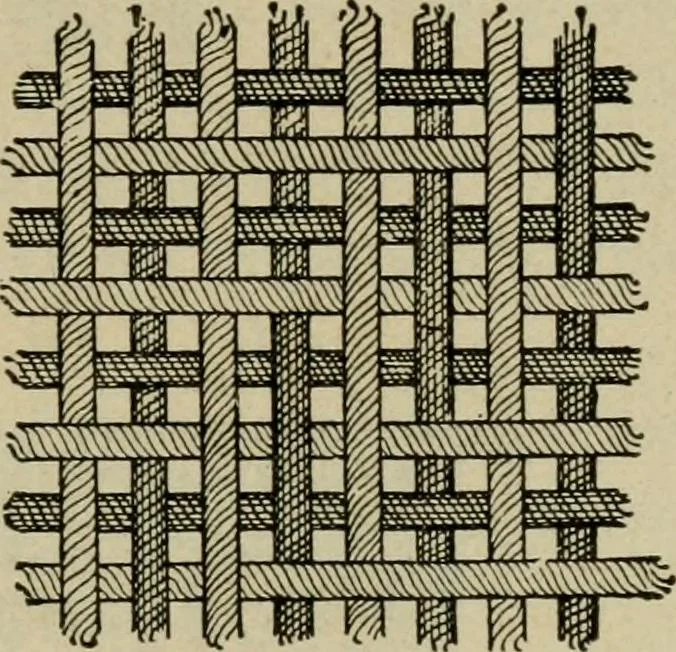 An illustration from Textiles and clothing, 1907, leaf 80