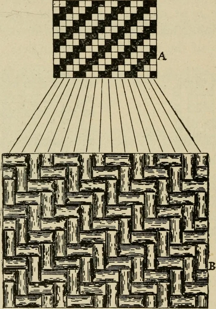An illustration from Textiles and clothing, 1907, leaf 81