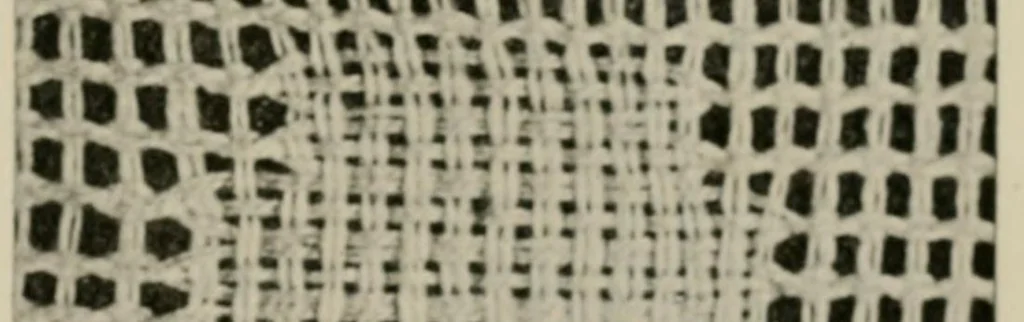 An illustration from Textiles; a handbook for the student and the consumer, 1926, leaf 111
