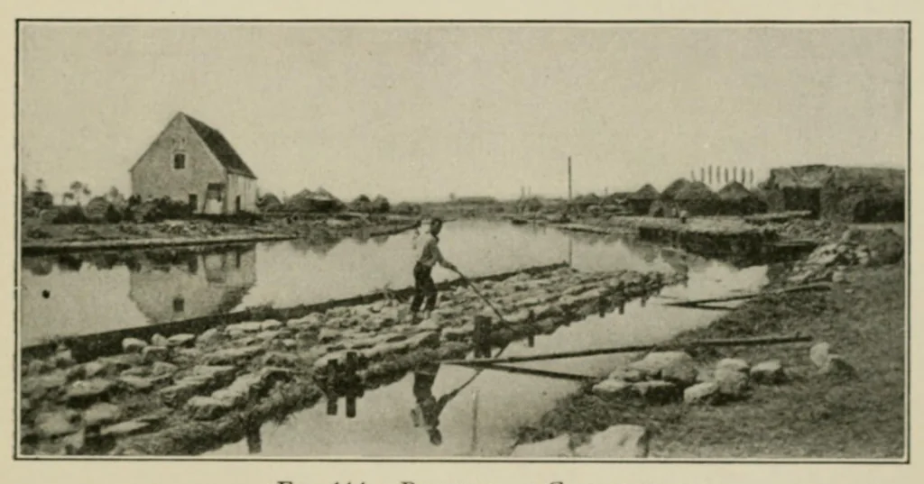 An illustration from Textiles; a handbook for the student and the consumer, 1926, leaf 339