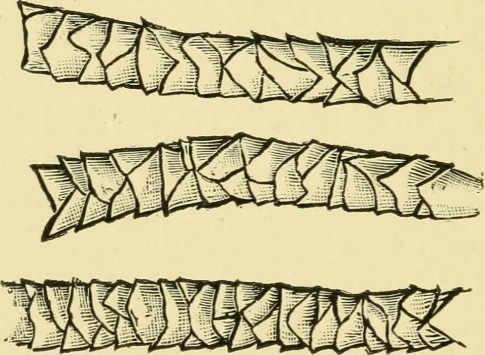 An illustration from Textile soaps and oils; a handbook on the preparation, properties, and analysis of the soaps and oils used in textile manufacturing, dyeing, and printing, 1904, leaf 125