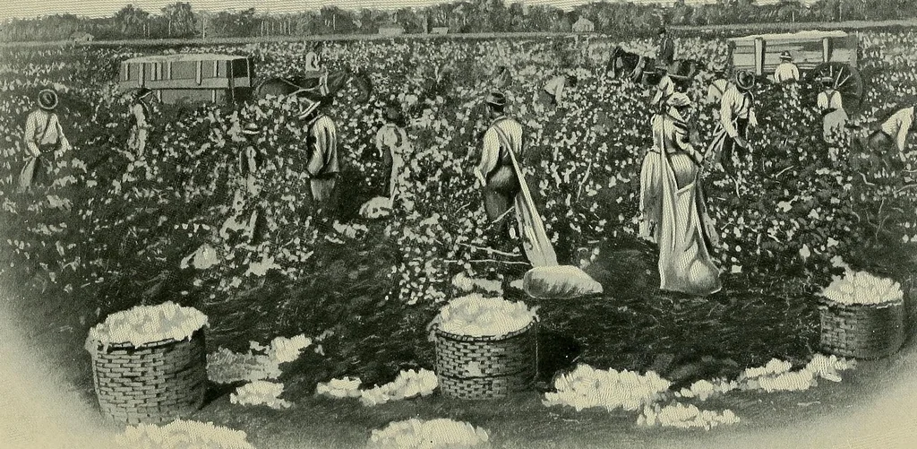 An illustration from Textiles, and the origin of their names, 1906, leaf 5