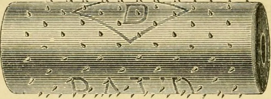 An illustration from Textile texts for cotton manufacturers : concerning the proper methods of equipping and running mills ... and a full list of the patented cotton machinery introduced and sold by the Draper Company, 1903, leaf 289