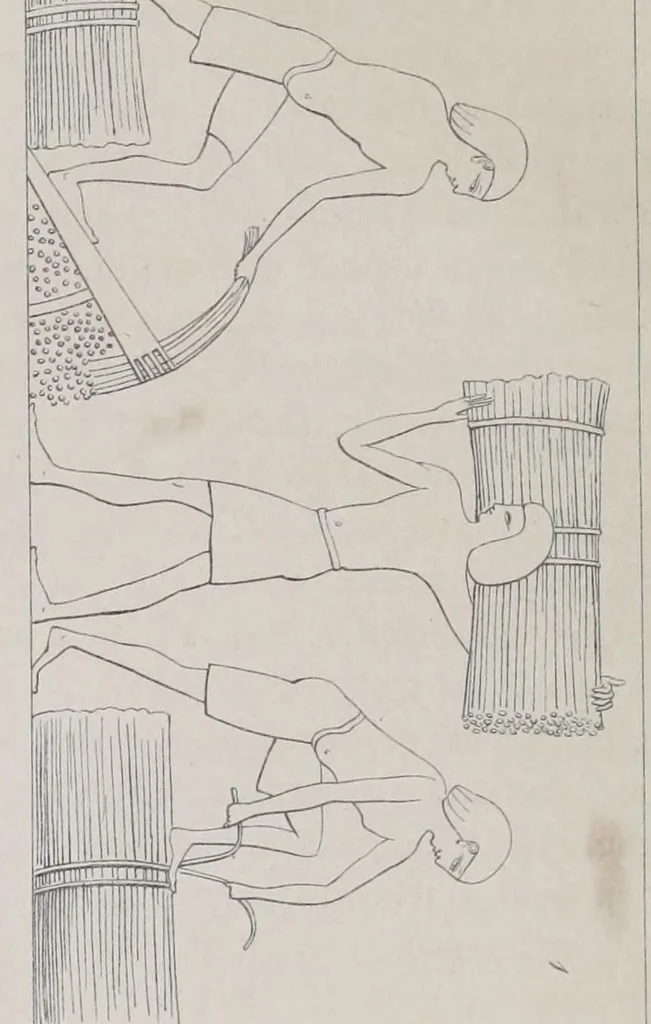 An illustration from Textrinum antiquorum : an account of the art of weaving among the ancients ..., 1843, leaf 288