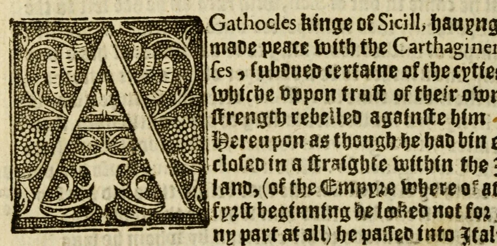 An illustration from Thabridgemente of the histories of Trogus Pompeius, 1570, leaf 248