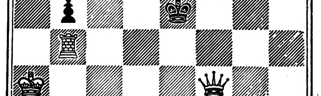 An illustration from The British Chess Magazine Volume 14 1894, 1894, leaf 496