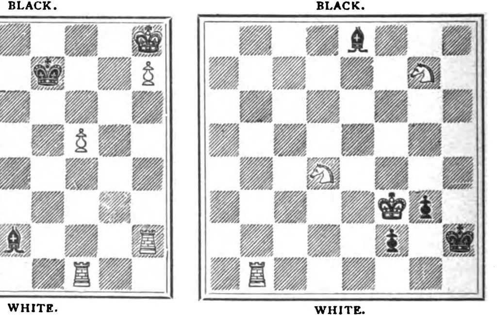 An illustration from The British Chess Magazine Volume 19 1899, 1899, leaf 214