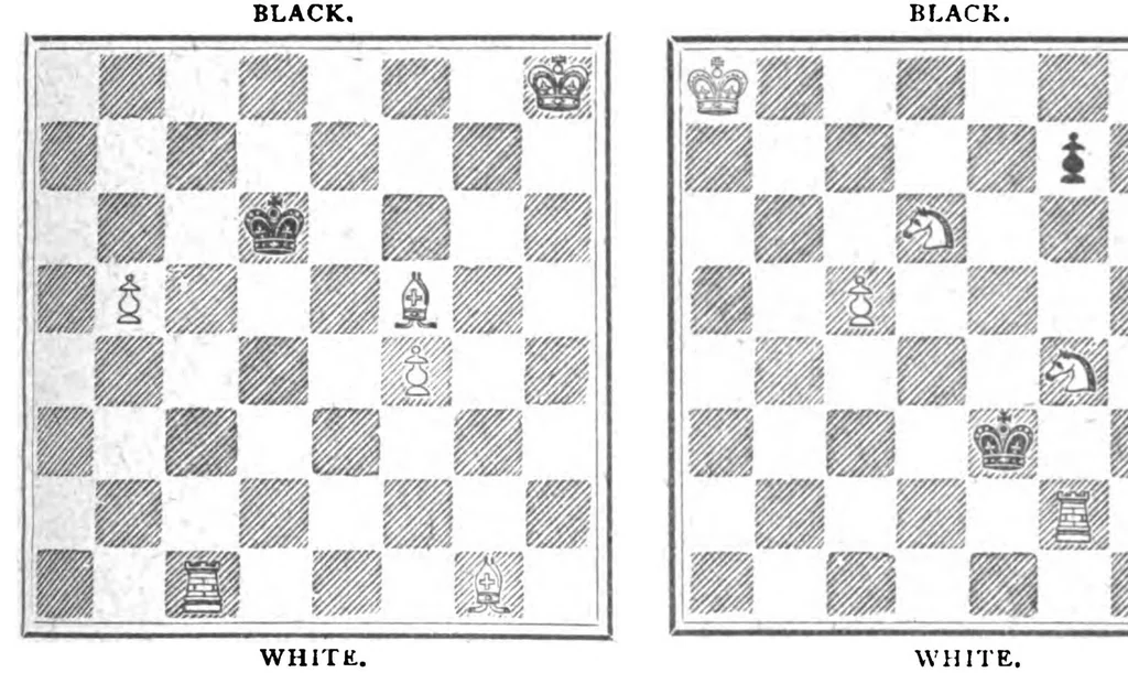 An illustration from The British Chess Magazine Volume 24 1904, 1904, leaf 195