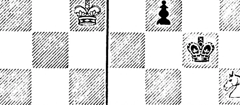 An illustration from The British Chess Magazine Volume 24 1904, 1904, leaf 64