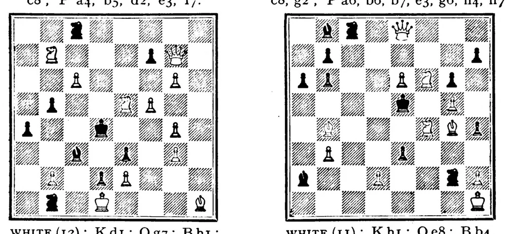 An illustration from The British Chess Magazine Volume 45 1925, 1925, leaf 114