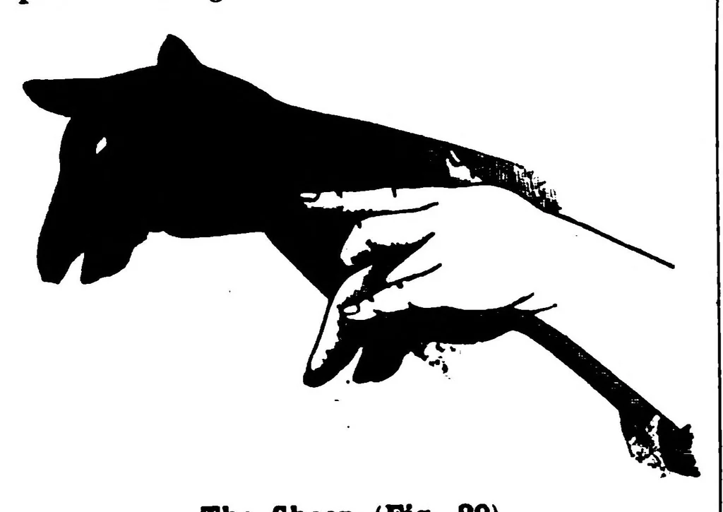 An illustration from The Magic Wand, Vol II, September 1911 To August 1912, 1912, leaf 159