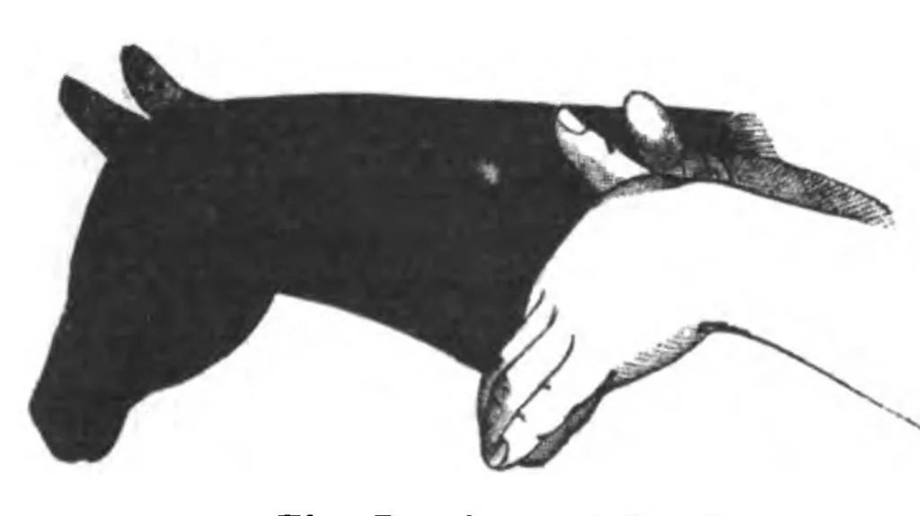 An illustration from The Magic Wand, Vol II, September 1911 To August 1912, 1912, leaf 192