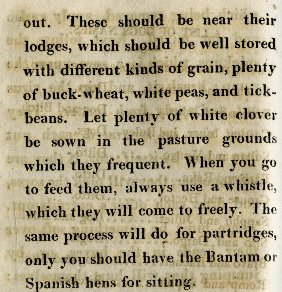 An illustration from The sportsman's directory ; or park and gamekeeper's companion; 1815, 1815, leaf 113