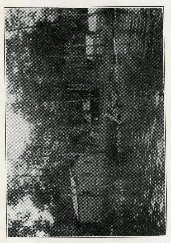 An illustration from The syndicate; 1916, 1916, leaf 164