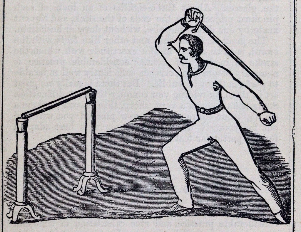 An illustration from The Boys’ book of manly exercises, sports, and games., 1881, leaf 114