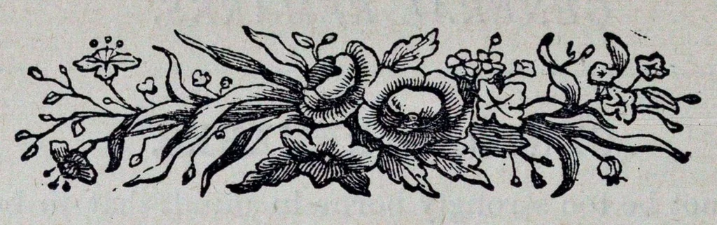 An illustration from The Boys’ book of manly exercises, sports, and games., 1881, leaf 405