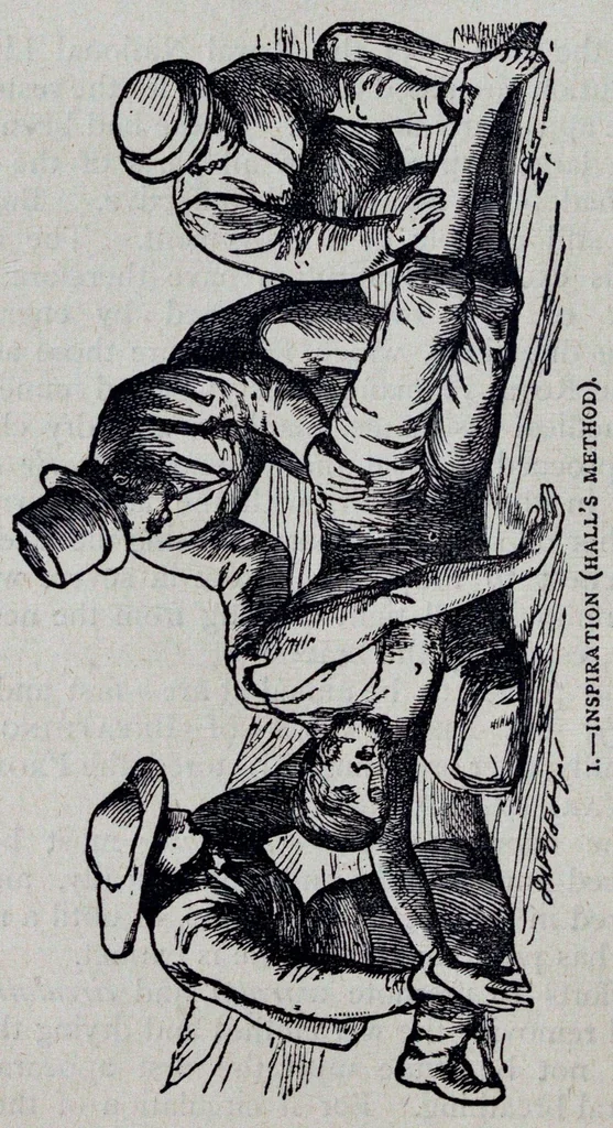 An illustration from The Boys’ book of manly exercises, sports, and games., 1881, leaf 443