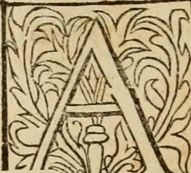 An illustration from Theatro del mundo, y del tiempo : en el qual no solo se descriuen sus partes, y se da regla en el medirlas, mas con ingeniosas y acomodadas demostraciones y figuras, se representan ante los lectores ... : cõ index, 1614, leaf 523