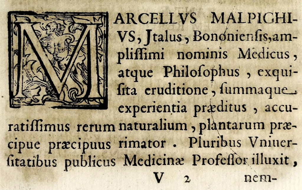 An illustration from Theatron : in quo maximorum Christiani orbis pontificum archiatros, 1696, leaf 159