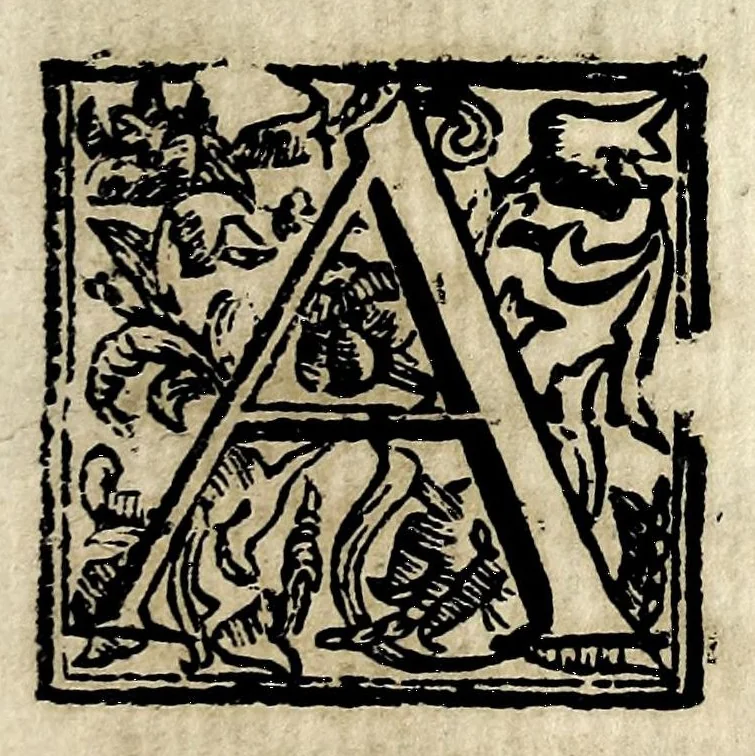 An illustration from Theatron : in quo maximorum Christiani orbis pontificum archiatros, 1696, leaf 17