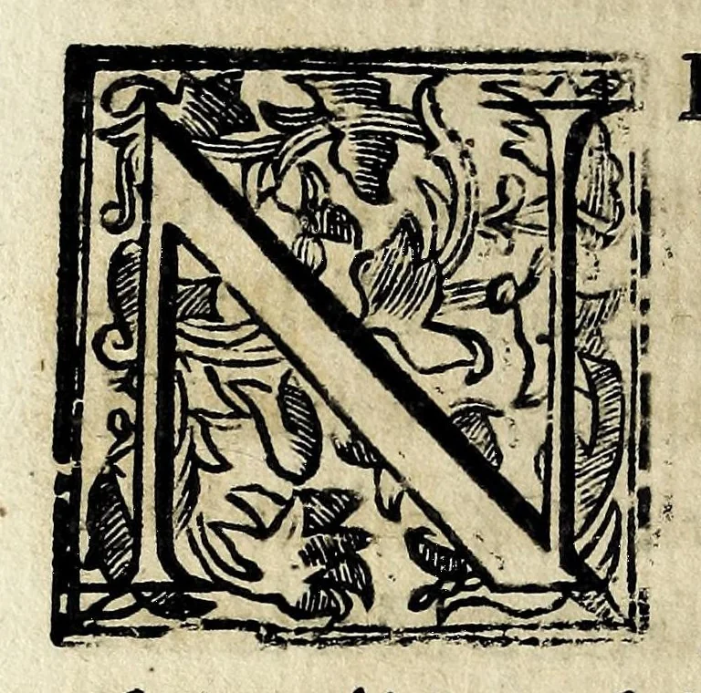 An illustration from Theatron : in quo maximorum Christiani orbis pontificum archiatros, 1696, leaf 174