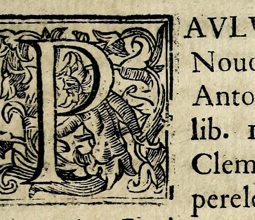 An illustration from Theatron : in quo maximorum Christiani orbis pontificum archiatros, 1696, leaf 179