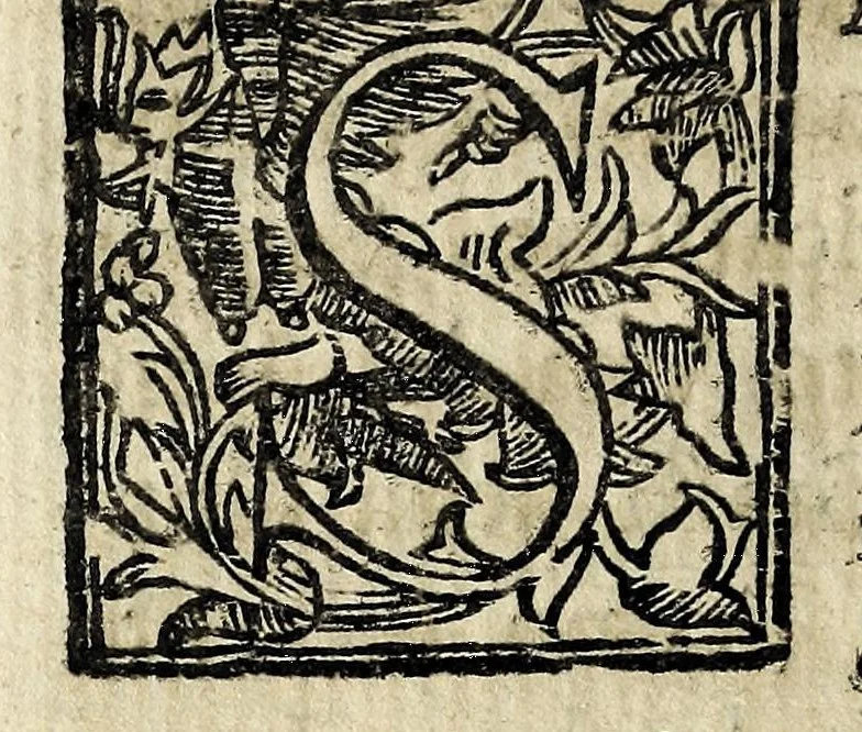 An illustration from Theatron : in quo maximorum Christiani orbis pontificum archiatros, 1696, leaf 210