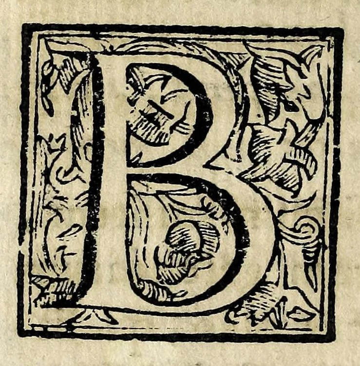 An illustration from Theatron : in quo maximorum Christiani orbis pontificum archiatros, 1696, leaf 44