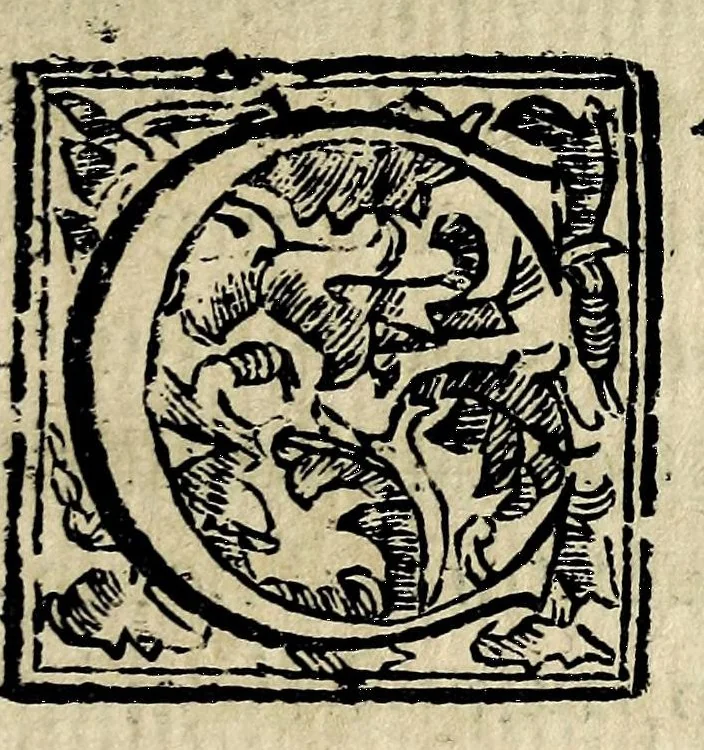 An illustration from Theatron : in quo maximorum Christiani orbis pontificum archiatros, 1696, leaf 57