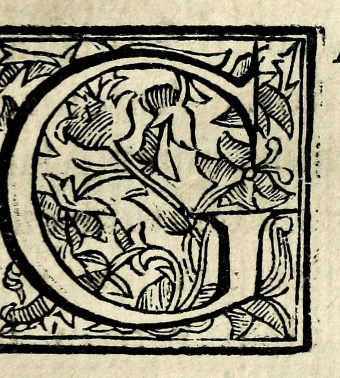 An illustration from Theatron : in quo maximorum Christiani orbis pontificum archiatros, 1696, leaf 83