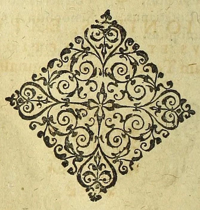 An illustration from Theatrum anatomicum /, 1605, leaf 1336