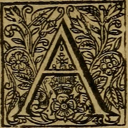 An illustration from Theatrum chemicum britannicum : containing severall poeticall pieces of our famous English philosophers, who have written the hermetique mysteries in their owne ancient language, 1652, leaf 124