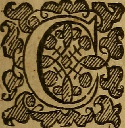An illustration from Theatrum chemicum britannicum : containing severall poeticall pieces of our famous English philosophers, who have written the hermetique mysteries in their owne ancient language, 1652, leaf 140
