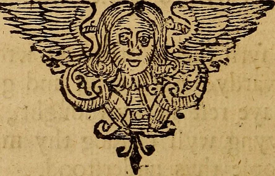An illustration from Theatrum chemicum britannicum : containing severall poeticall pieces of our famous English philosophers, who have written the hermetique mysteries in their owne ancient language, 1652, leaf 143